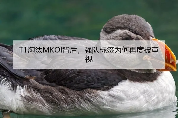 T1淘汰MKOI背后，强队标签为何再度被审视